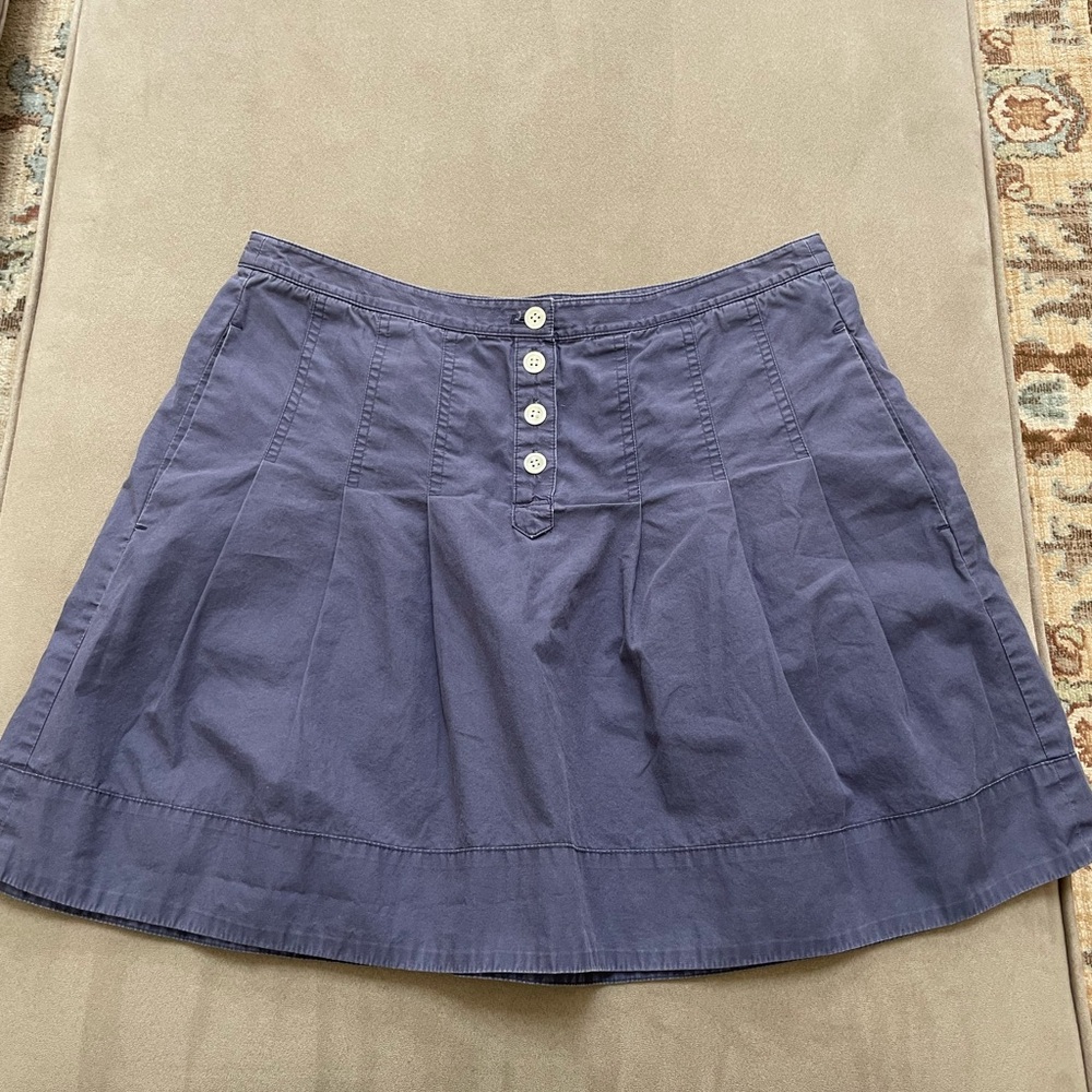 J. Crew Blue Pleated Skater Mini Skirt